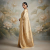 Thulasi Fancy Cotton Saree [TLA]