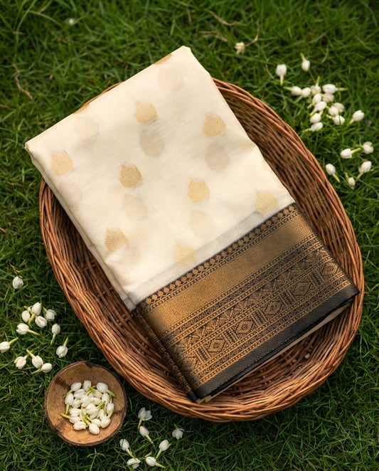Black & Gold Kasavu Saree